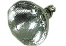 Ampoule pour lampe chauffe plat