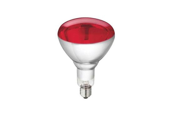 Ampoule chauffante rouge pour lampe chauffe plats