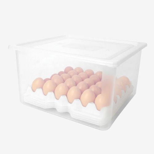 Boite à œufs transparente pro avec 4 plateaux, soit 120 œufs