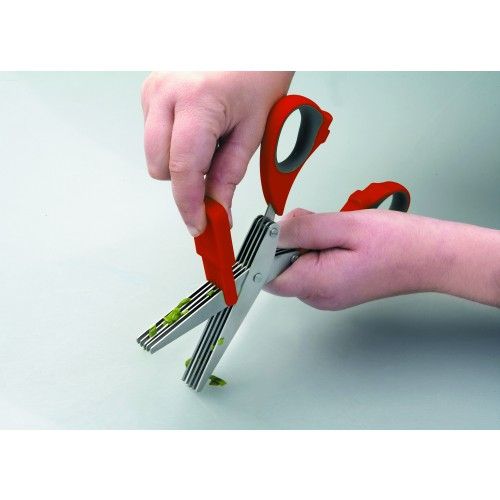 Ciseaux à herbes fraîches avec peigne de nettoyage