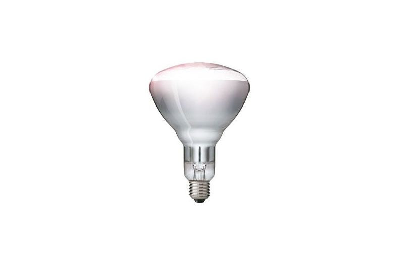 Ampoule chauffante pour lampe chauffe plats