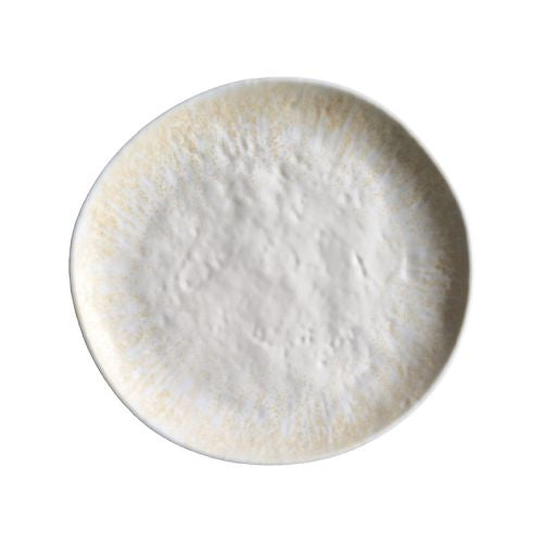 Assiette plate 253 X 20 mm