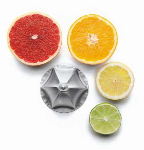 Cône d'extraction inox pour presse fruits électrique