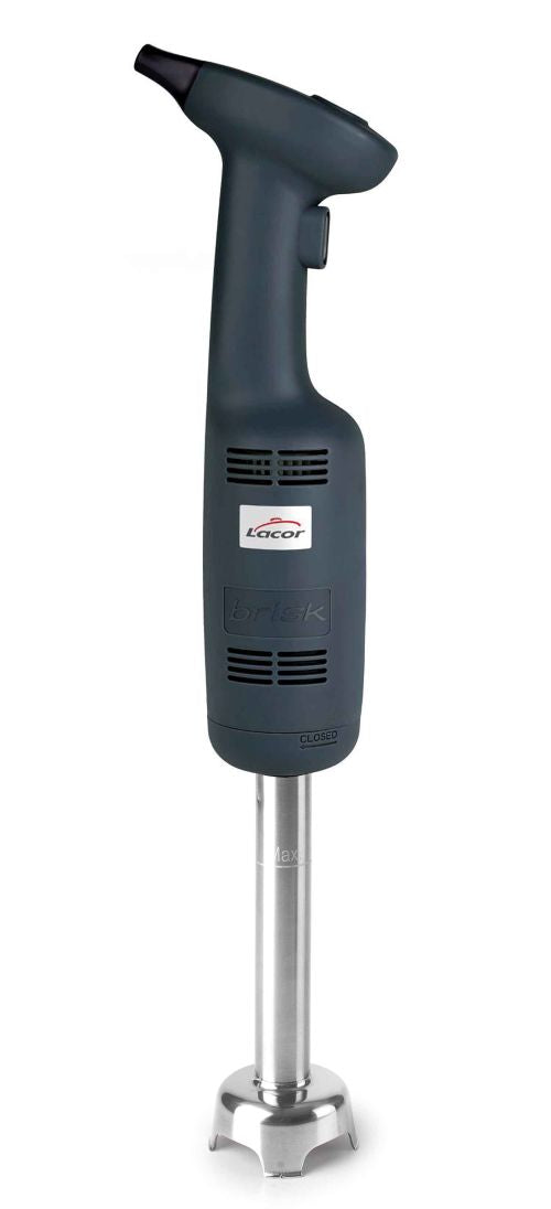Mixeur plongeur professionnel 16 cm vitesse fixe ou variable