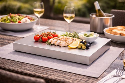 Plaque froide GN1/1 pour repas extérieur